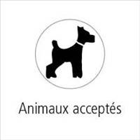 Supplément animal de compagnie